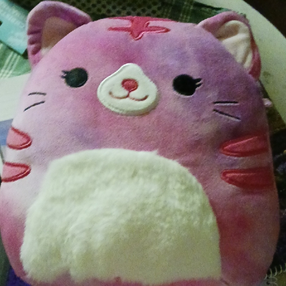 Adorable Squishmallow Pink And White Tie Dye Cat.